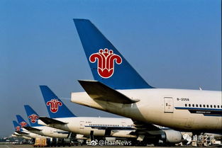 襄陽青年請注意 南方航空招飛啟動，翱翔藍天夢想觸手可及